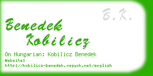 benedek kobilicz business card